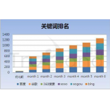 湛江如何防止SEO关键词排名下降
